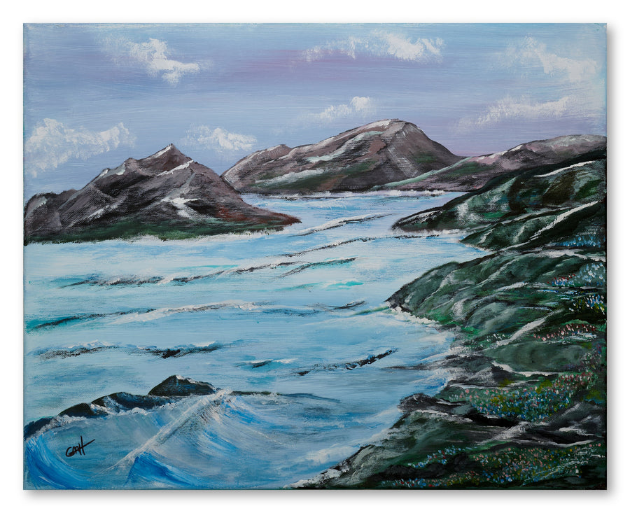Glacier Bay by Gary Hartman